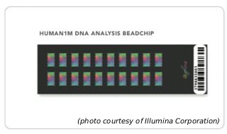 DNA chip